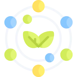 Fights Free Radicals