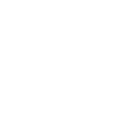 Trusted Global Technology