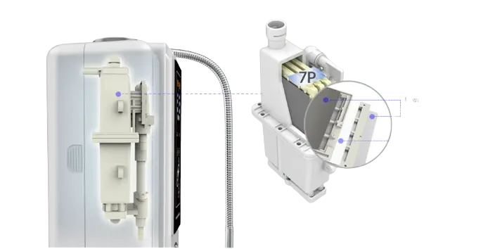 7P Platinum Titanium Coated Plates