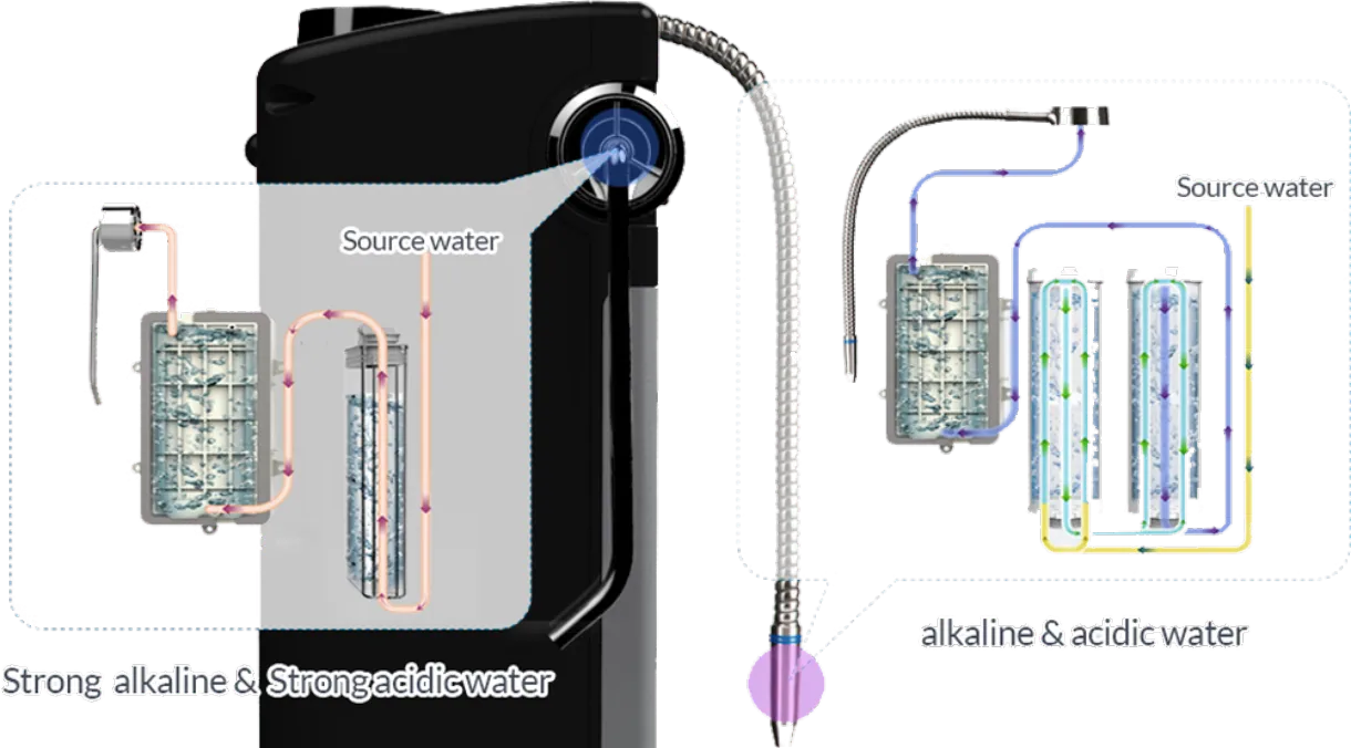 5P Platinum Titanium Coated Plates